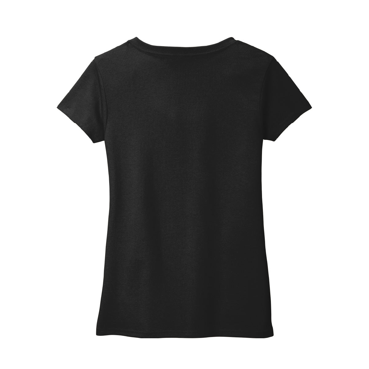 Pro-Craft PC Logo Women's V-Neck T-Shirt
